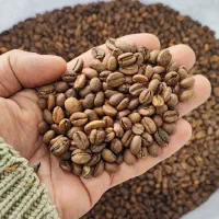 دان قهوه ، ویتنام ، اوگاندا ، برزیل ،کلمبیا|عمده‌فروشی|تهران, بازار|دیوار