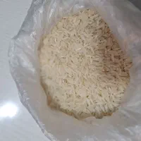 برنج کشت دوم طارم هاشمی