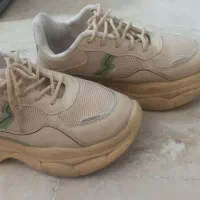 کفش|کیف، کفش، کمربند|بیرجند, |دیوار