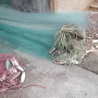 فروش دام ۰۱۸چشمه ۴۵.۴۸در حد