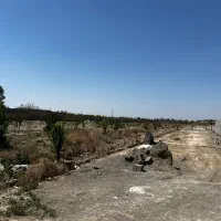 زمین-باغی