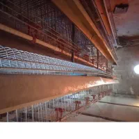 قفس مرغ تخمگذار استاده|لوازم جانبی حیوانات|تفرش, |دیوار