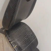 صندلی کپ و سرشور|آرایشگاه و سالن‌های زیبایی|مشهد, رده|دیوار