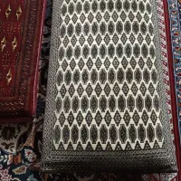 دو جفت پشتی