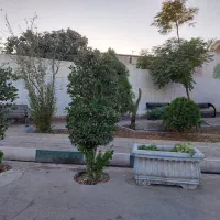 فروش خانه ویلایی ۴۳۰ متری سنددار|فروش زمین و ملک کلنگی|رباطکریم, پیغمبر|دیوار