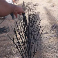 حفاظ تولید حفاظ شاخ گوزنی|عمدهفروشی|کرج, کارخانه قند|دیوار