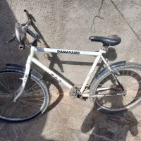 دوچرخه در حد نوع