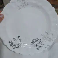 ارکوپال براق درجه۱