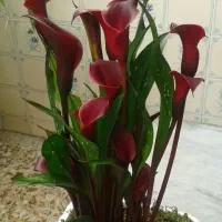 فروش تعداد از وسایل منزل دست دوم