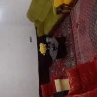 اجاره سوییت مبله تمیز ساعتی و روزانه