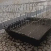 قفس حیوان نو