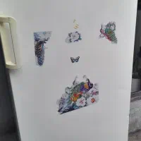 یخچال فریزر