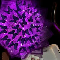 گل زیبا زیر قیمت 13تومن