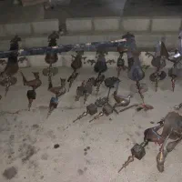 علامت وسایل هیت