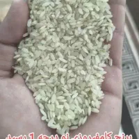 برنج کامفیروزی  درجه یک|خوردنی و آشامیدنی|شیراز, ملاصدرا|دیوار
