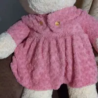 خرس بزرگ
