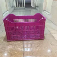 سبد