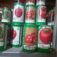 بذر|گل و گیاه طبیعی|ورامین, ورامین|دیوار