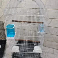 قفس پرنده مناسب عروس هلندی