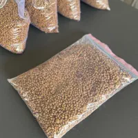 غذاگربه رفلکس کیتن پلاس