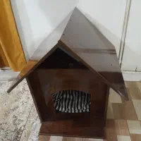 باکس پت