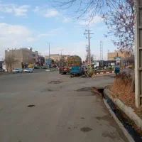 یونجه خالص|خدمات باغبانی و درختکاری|تکاب, |دیوار