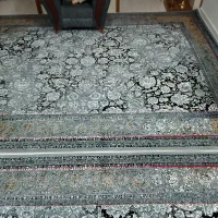 دوتاقالی ۱۲متری