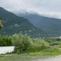 1200سنددار-سودی-ک-این-زمین-میده-باور-کردنی-نیست