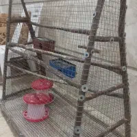 قفس بزرگ کردن جوجه مرغ و اردک و بوقلمون و غاز|لوازم جانبی حیوانات|قم, بکایی|دیوار