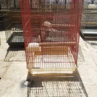 قفس پرنده
