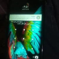 گوشی،ال،جی سالم