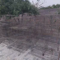 قفس مرغ تخم گذار بومی