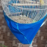 قفس پایه دار