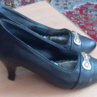 کفش نو|کیف، کفش، کمربند|زنجان, |دیوار