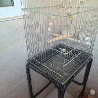 قفس و پایه پرنده