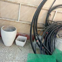 گلدان گل|گل و گیاه طبیعی|برازجان, |دیوار
