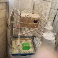 قفس ۱۰۳۳ با لوازم و لونه|لوازم جانبی حیوانات|تهران, افسریه شمالی|دیوار
