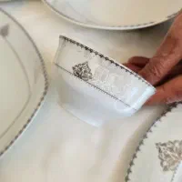 ظروف چینی پارس