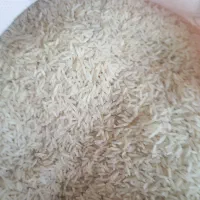 ویزیتور و راننده