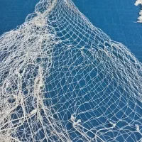 تور ماهیگیری