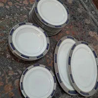 ظروف پذیرایی چینی