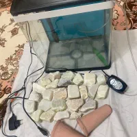 اکواریوم مدل دلسا