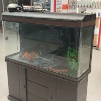 آکواریوم و پایه شرکتی