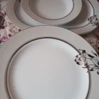 ظروف چینی مارک مقصود