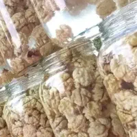 پخش گردو فالی