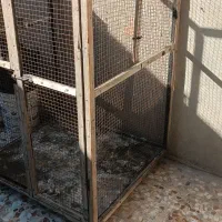 قفس.گنجه. قفس پرنده و کبوتر|لوازم جانبی حیوانات|کازرون, |دیوار