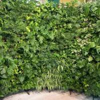 طراحی واجرای گرین وال طبیعی برای خانه،شرکت و ویلا