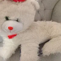 سلام دوعدد عروسک