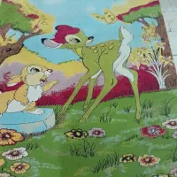 گلیم اتاق کودک .۲در ۲متر .یک ماه استفاده شده