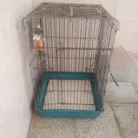 قفس پرنده